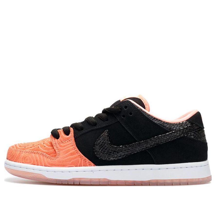 Nike Premier x Dunk Low Pro SB 'Fish Ladder'  313170-603 Iconic Trainers